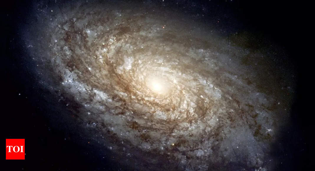 Counting galaxies in the universe: A complex, limitless challenge