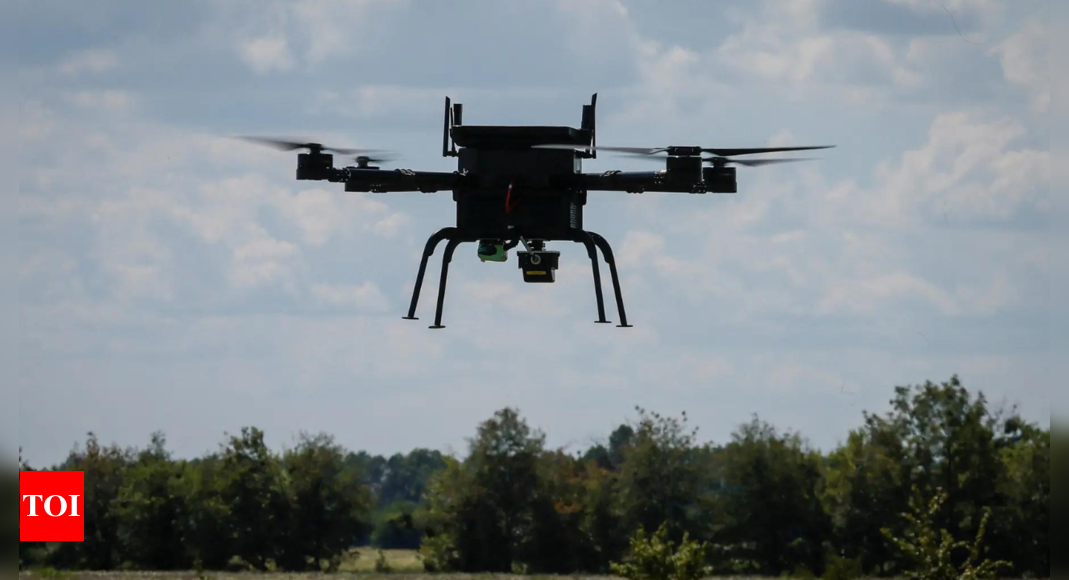 Dutch turn to birds and bees to inspire drone swarm research