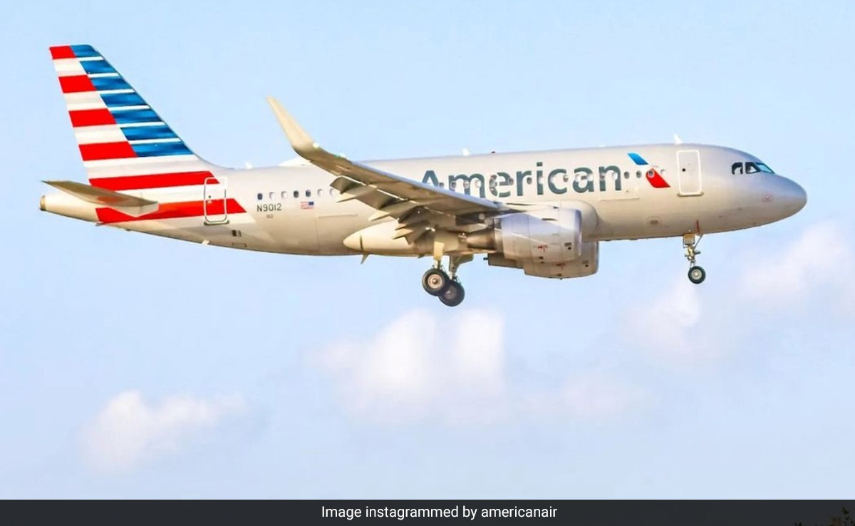 US Flight Makes Emergency Landing After Lice Spotted In Woman's Hair