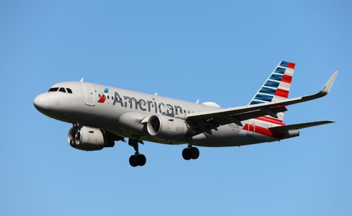 US Woman Sues American Airlines After Fellow Passenger Sexually Assaults Her