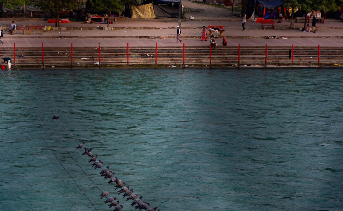 Ganga Water In Haridwar ‘Unsafe’ For Drinking: Pollution Control Board