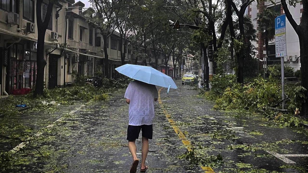 Typhoon Bebinca batters Shanghai: Disrupted travel, uprooted trees, and mass evacuations amid heavy downpours