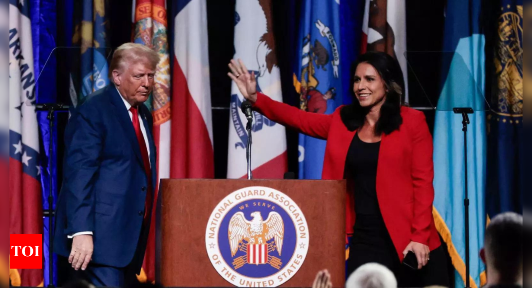 When Tulsi Gabbard revealed who actually runs the US govt: 'Neither Biden, nor Kamala...' - Times of India