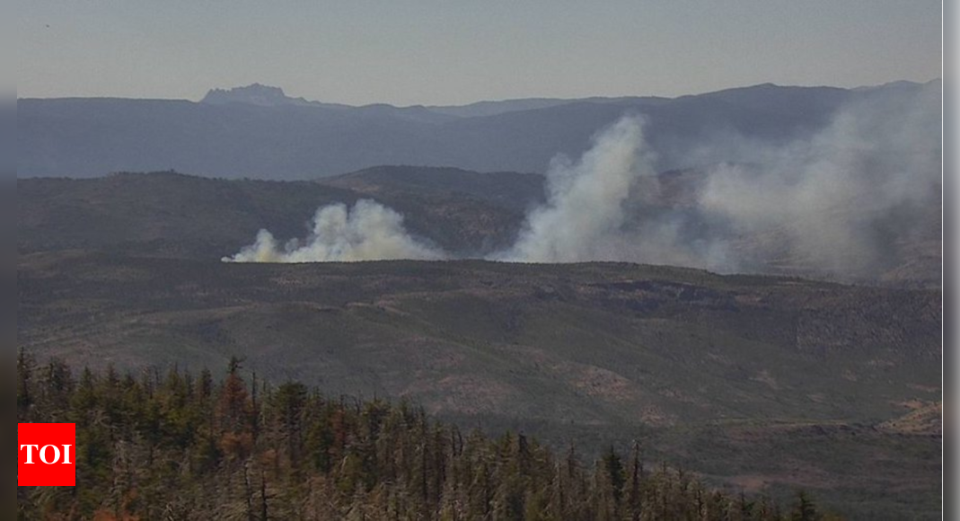 Bear Fire forces evacuation near Sierra Brooks as blaze rapidly expands – Times of India