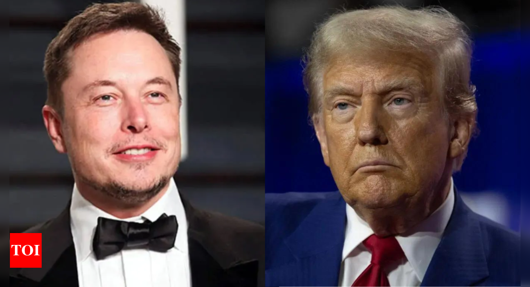 Elon Musk reacts to potential role in Trump administration: 'Lot of waste in US government …' – Times of India