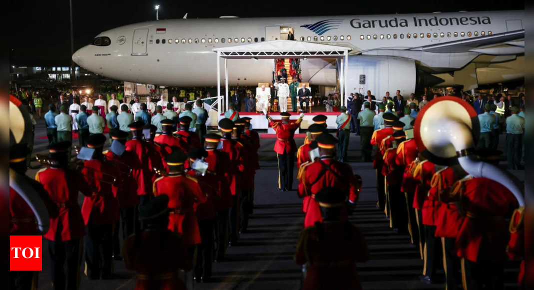 Pope Francis arrives in Papua New Guinea, country two of 12-day trip - Times of India