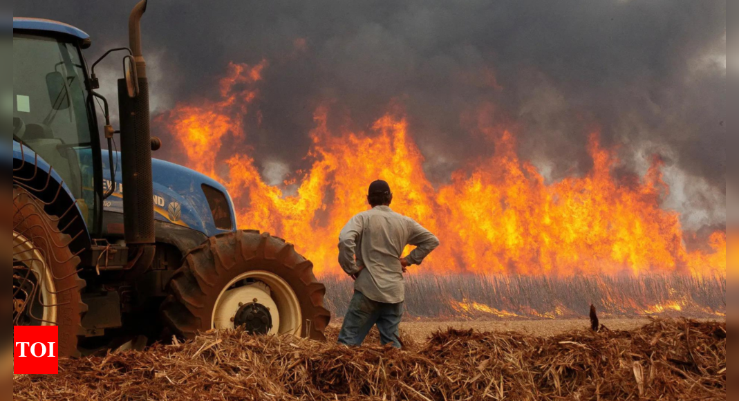 Brazil faces worst drought in 70 years, fuelling wildfires across the country – Times of India