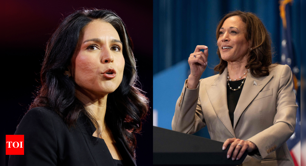 Tulsi Gabbard says Kamala Harris is taking extreme acting lessons: 'She's talented on debate stage but...' - Times of India