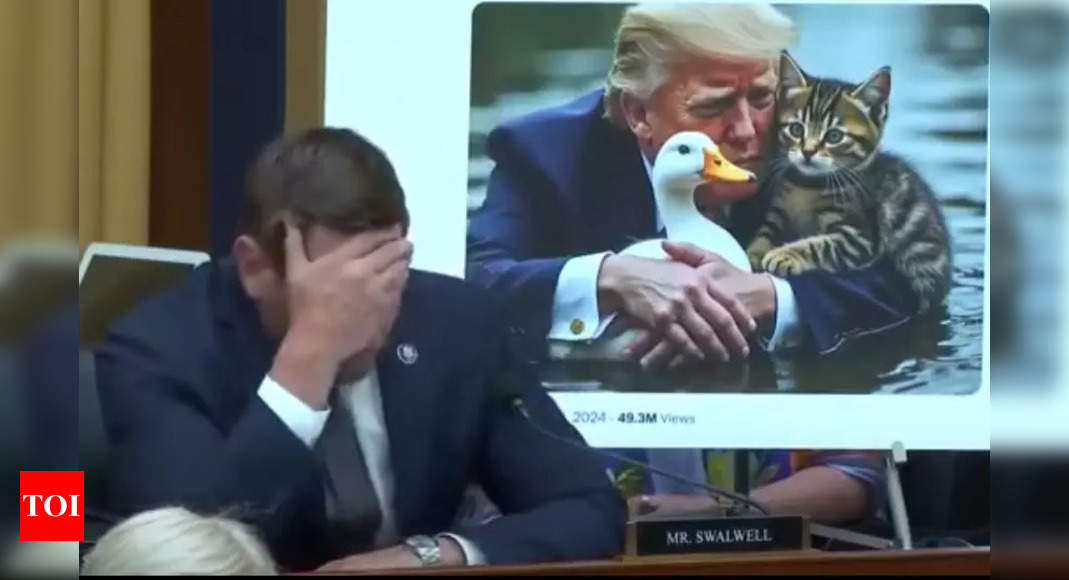 Democrat Eric Swalwell slams viral Trump cat and duck memes: 'What in the hell is this?' – Times of India