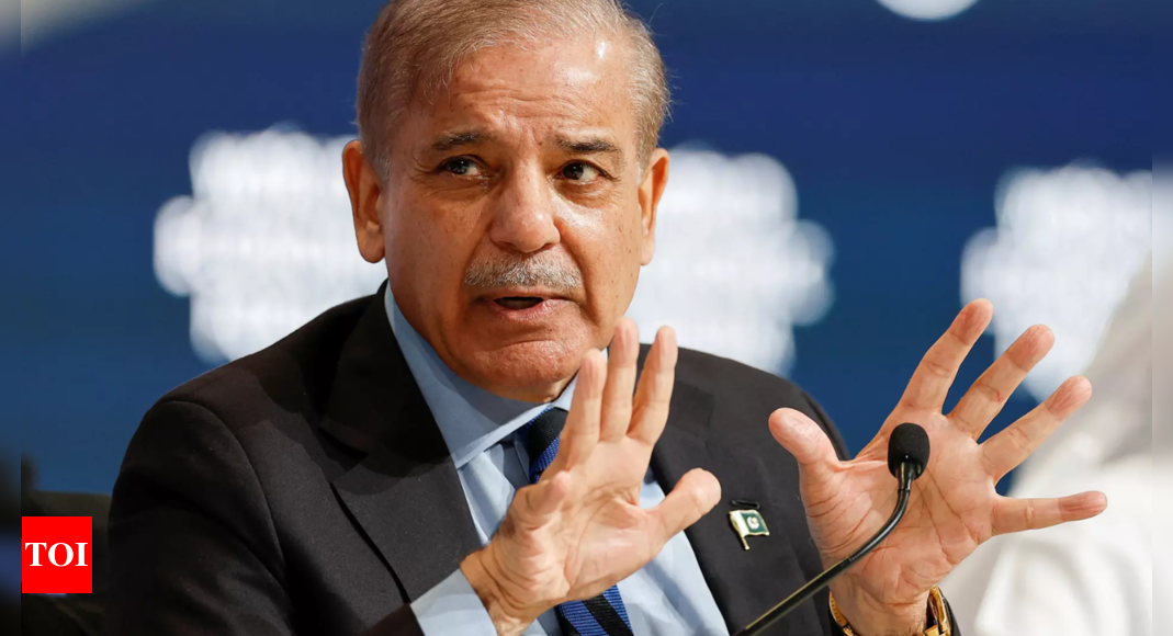 Friendly nations helped Pakistan meet IMF bailout conditions, says PM Shehbaz Sharif – Times of India