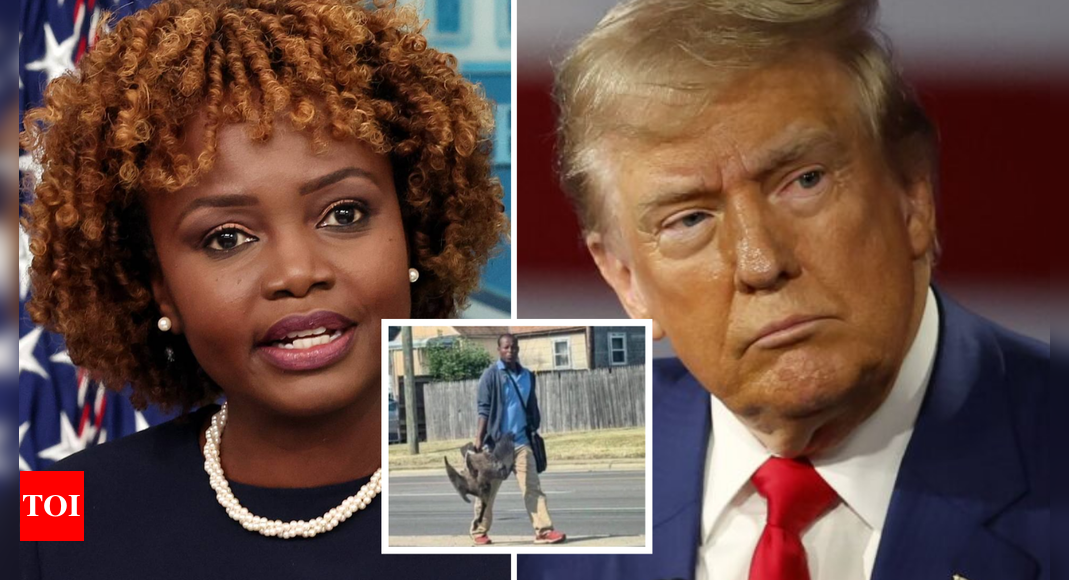 White House calls out Trump for 'filthy' lies about haitian migrants eating pets: 'Lives are in danger' – Times of India