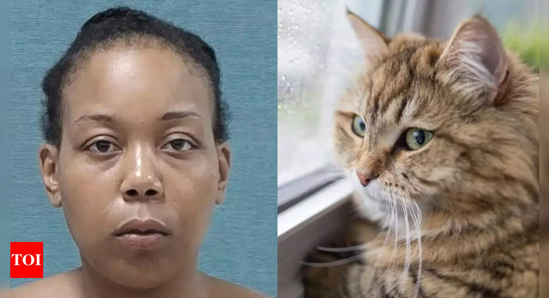 Haitian immigrant pet eating row: Ohio woman accused of eating cat is US citizen; video is from Canton, not Springfield | World News - Times of India