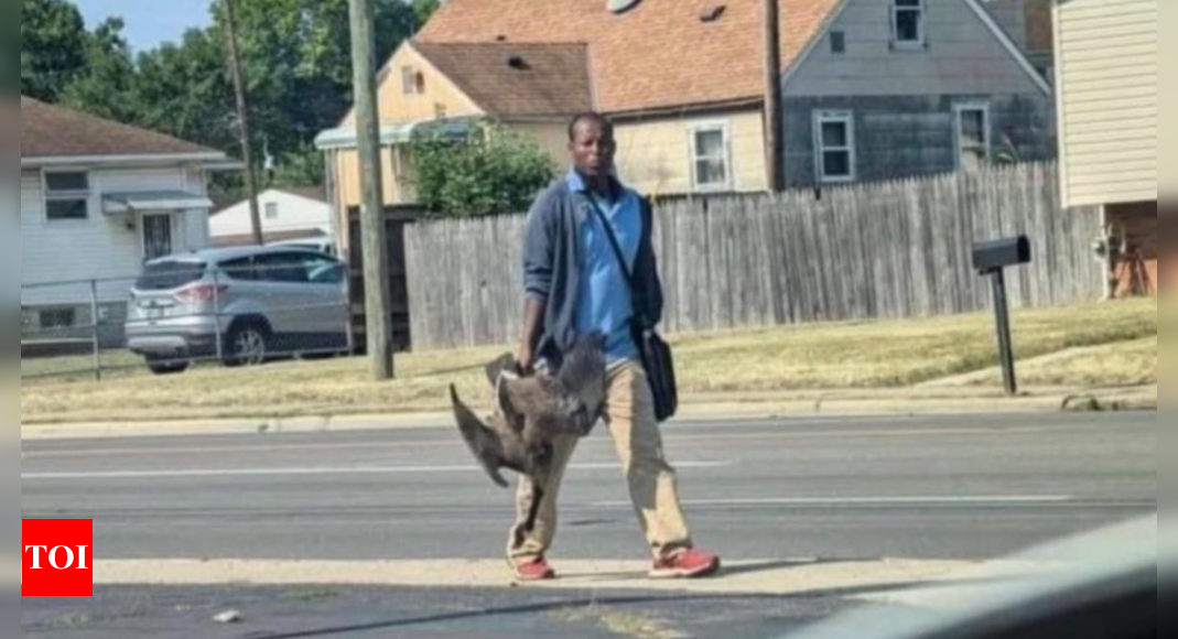 Haitian row: Photographer of viral 'man carrying duck' says he thought it was... - Times of India