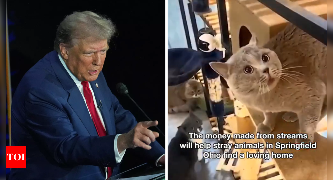 Purr-fect banger! Trump's 'they're eating the cats' has now turned into a viral song, watch - Times of India