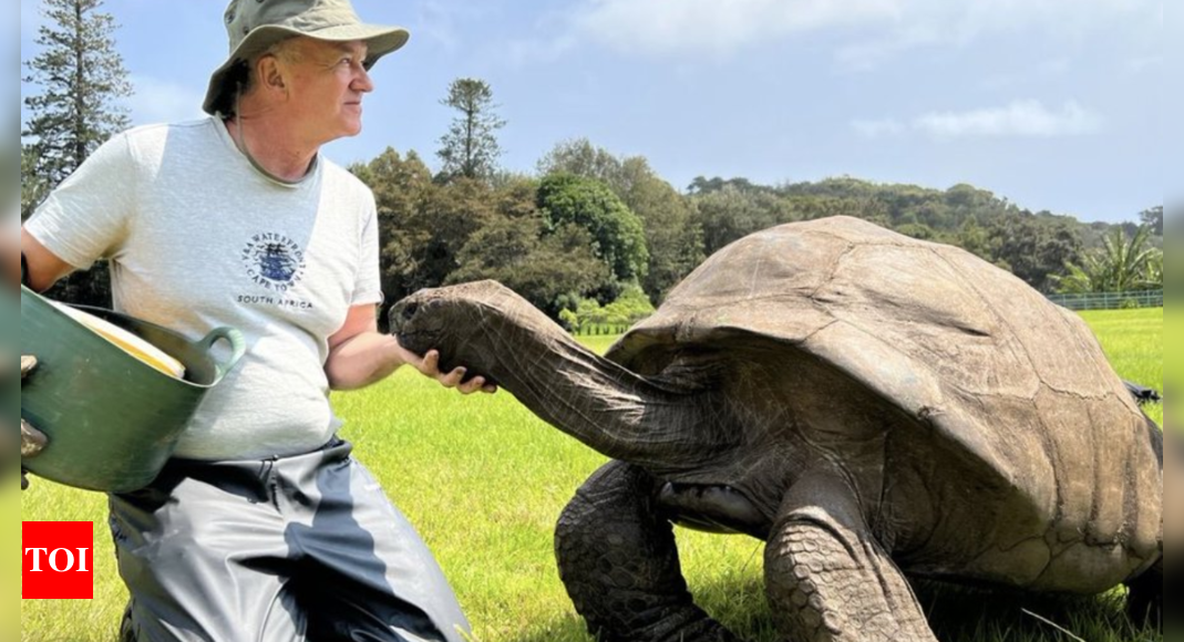 World Oldest Living Animal: Jonathan, world's oldest living land animal, who is 191 years old | World News - Times of India