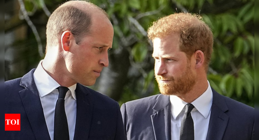 Prince Harry Birthday: Birthday wishes or just formality? The truth behind William's message to Harry | World News – Times of India