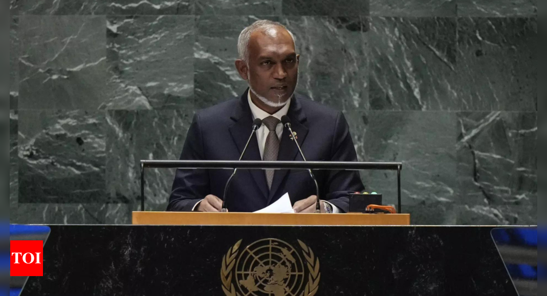 Maldives president seeks an end to Gaza war, more dynamic multilateral system – Times of India