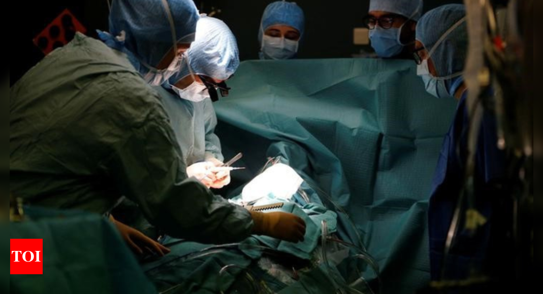 Staff left 'shocked' as Florida surgeon mistakenly removes liver instead of spleen, leading to fatality – Times of India