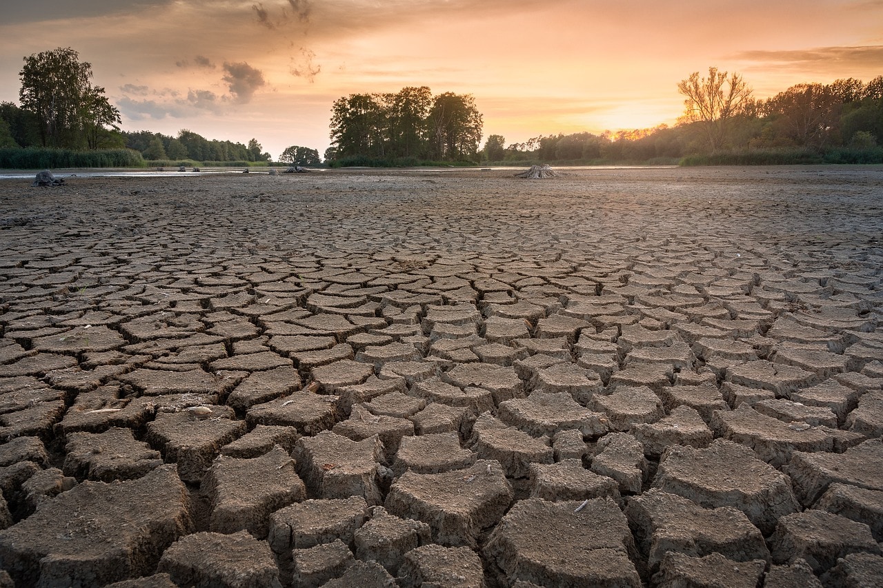 Drought Sinks Longest Polish River To Record-low Level