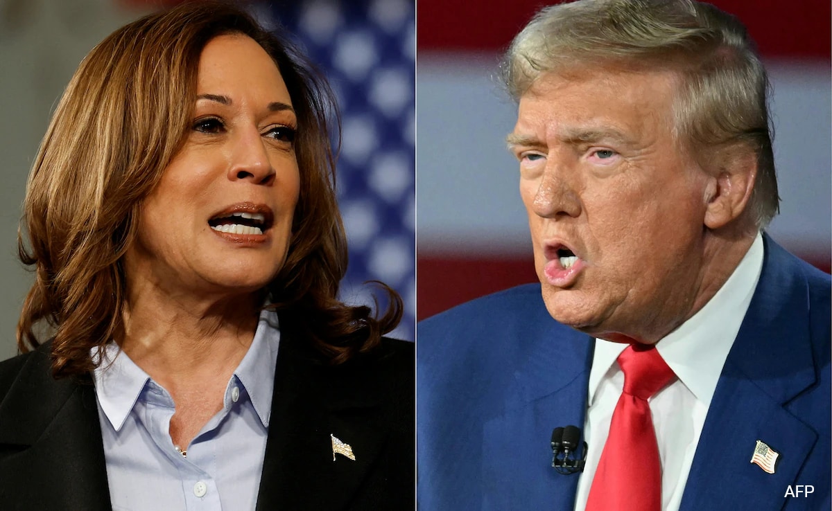 Harris Vows To Fix US Immigration System, Trump Says "This Is Bad Timing"