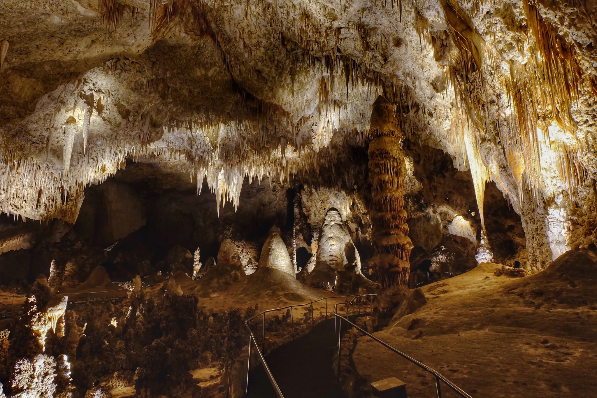 How A Bag Of Cheetos Unleashed Chaos In A Fragile US Cave Ecosystem