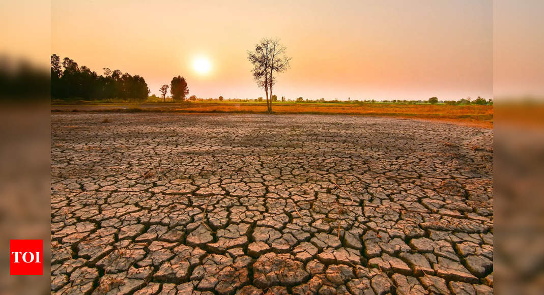 One in two El Nino events could be extreme by 2050, study finds