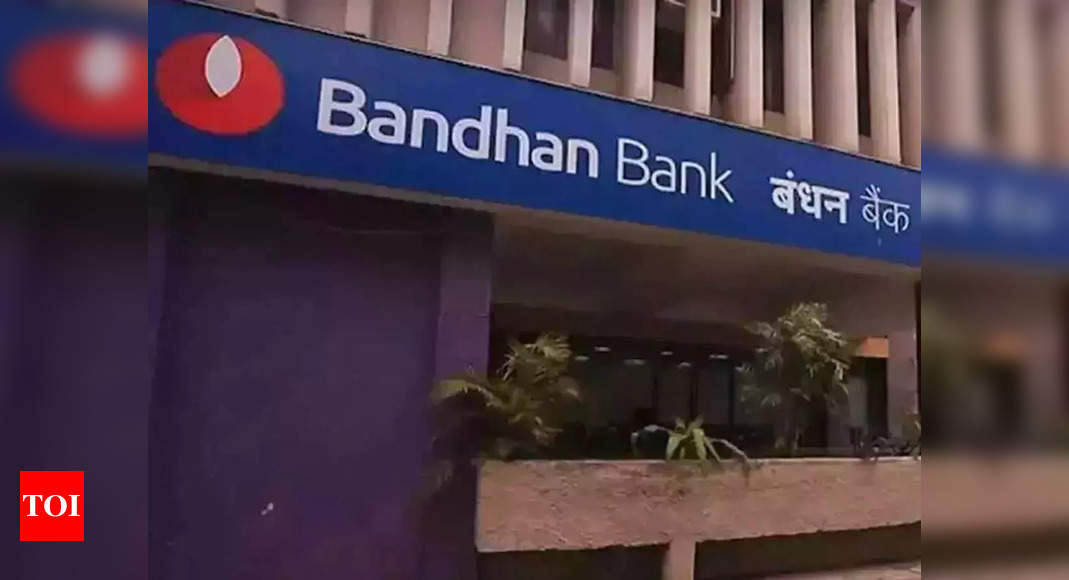 Bandhan Bank business grows 24.6% in Q2