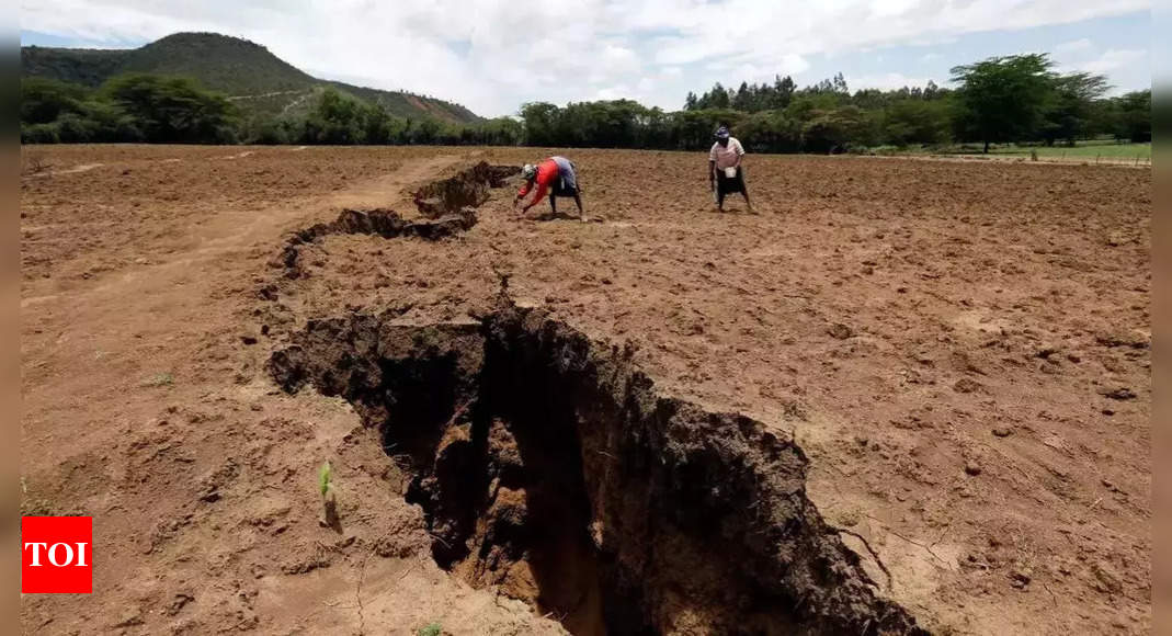 Africa could split in two, forming a sixth ocean; study reveals