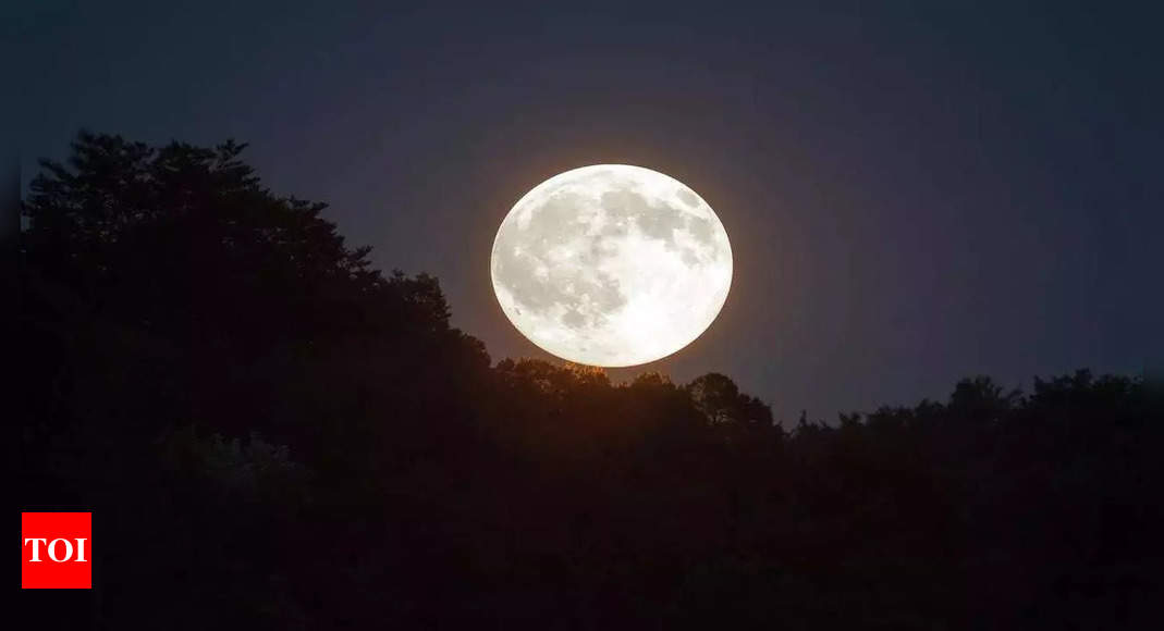 Hunter’s Moon 2024: Know why is it called Hunter’s Moon, its significance and when to view