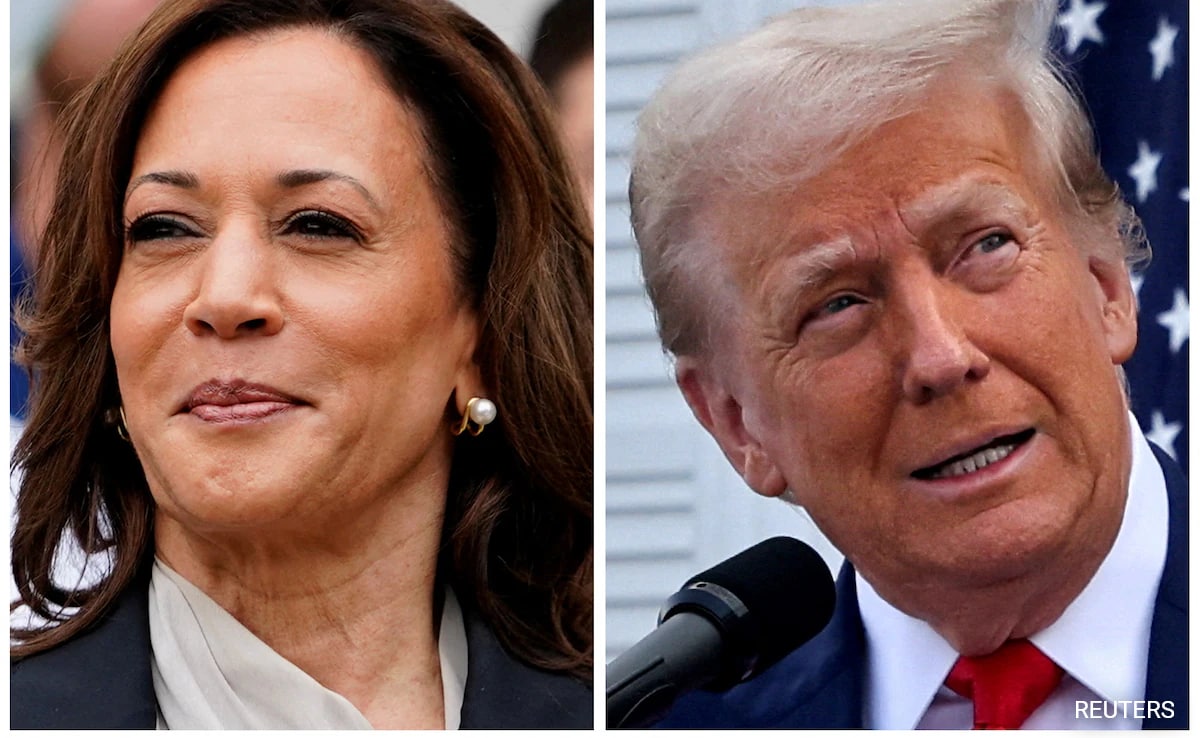 Kamala Harris Overtakes Donald Trump Among Suburban Voters, Poll Reveals