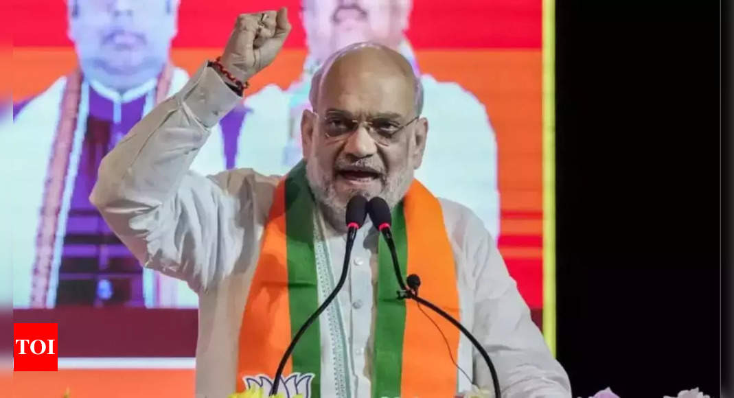 MVA will lose in Maharashtra like Congress lost Haryana: Amit Shah in Sangli | India News