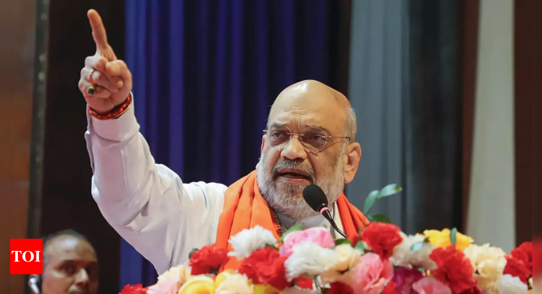 Sonia’s ‘Rahul Plane’ will crash again: Amit Shah | India News