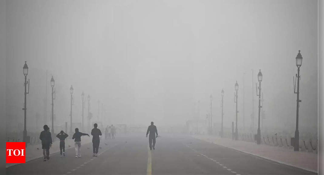 Delhi air pollution crisis discussed at COP29 sidelines | India News