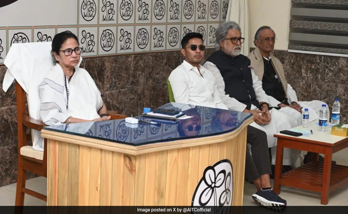 Abhishek Banerjee Gets Big National Role At Key Trinamool Meet