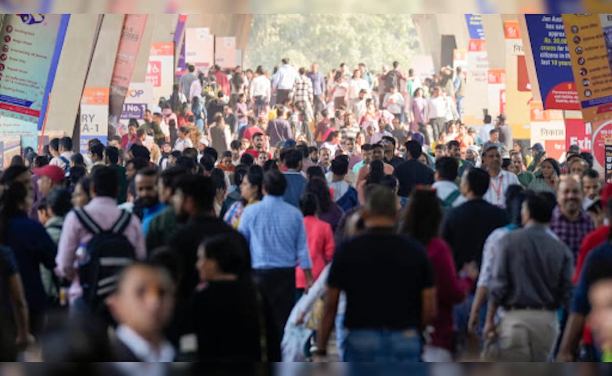 Man Steals 50 Million-Year-Old Fossil From Delhi Trade Fair Stall, Arrested