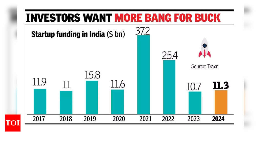 $11.3 billion: Startup funding sees marginal rise in 2024