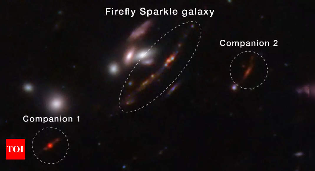 ‘Firefly Sparkle’: Nasa’s James Webb telescope finds tiny Milky Way-like galaxy